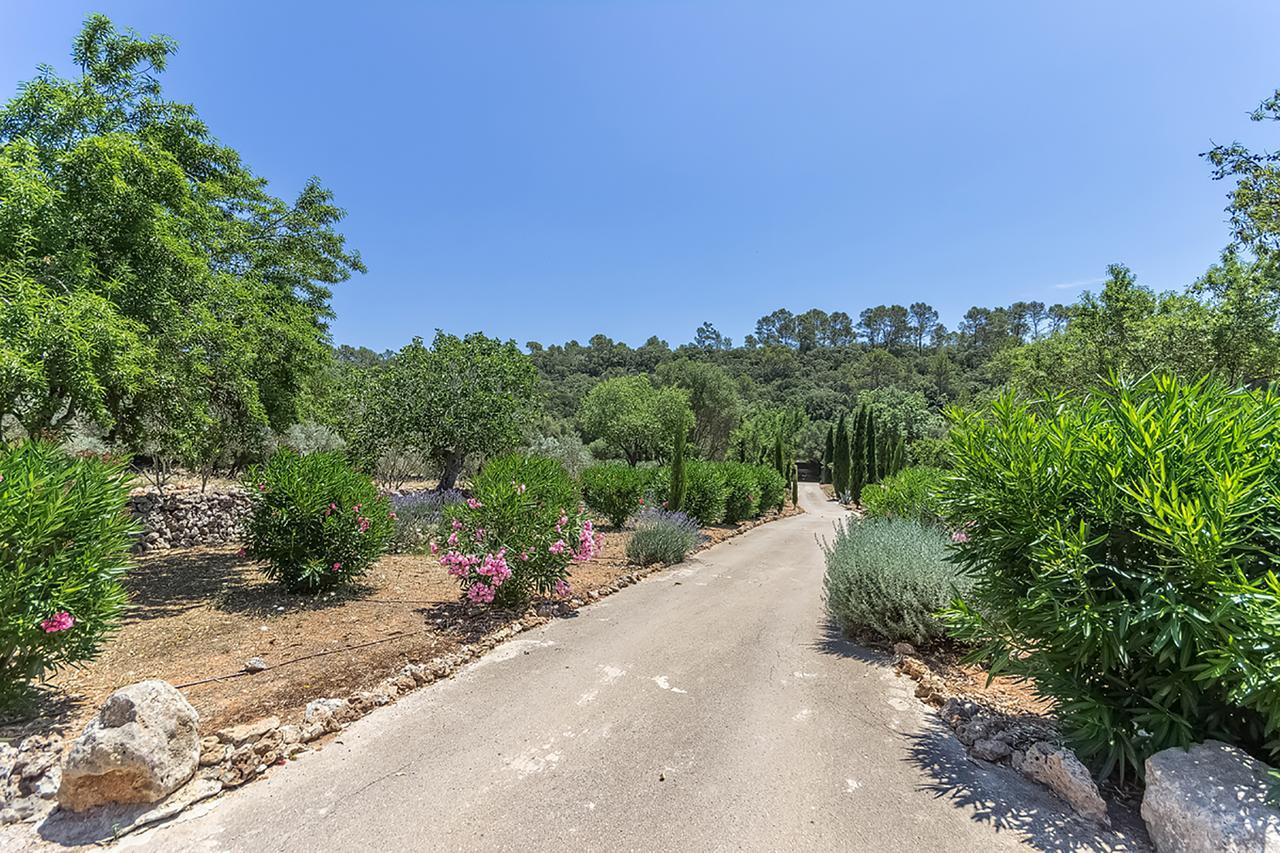 Can Pina - Eco Pina - Costitx  Εξωτερικό φωτογραφία